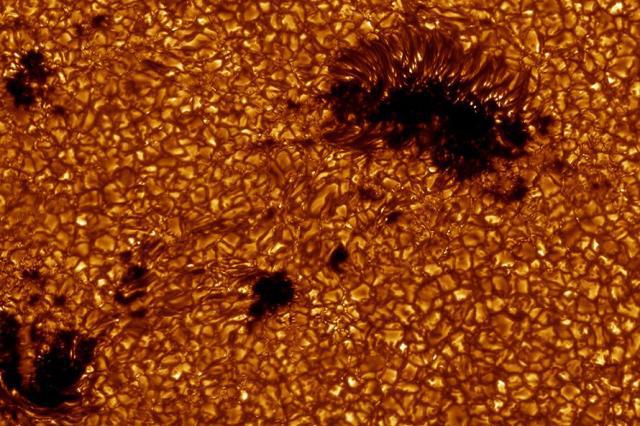 太陽上會進化出等離子體生命嗎？